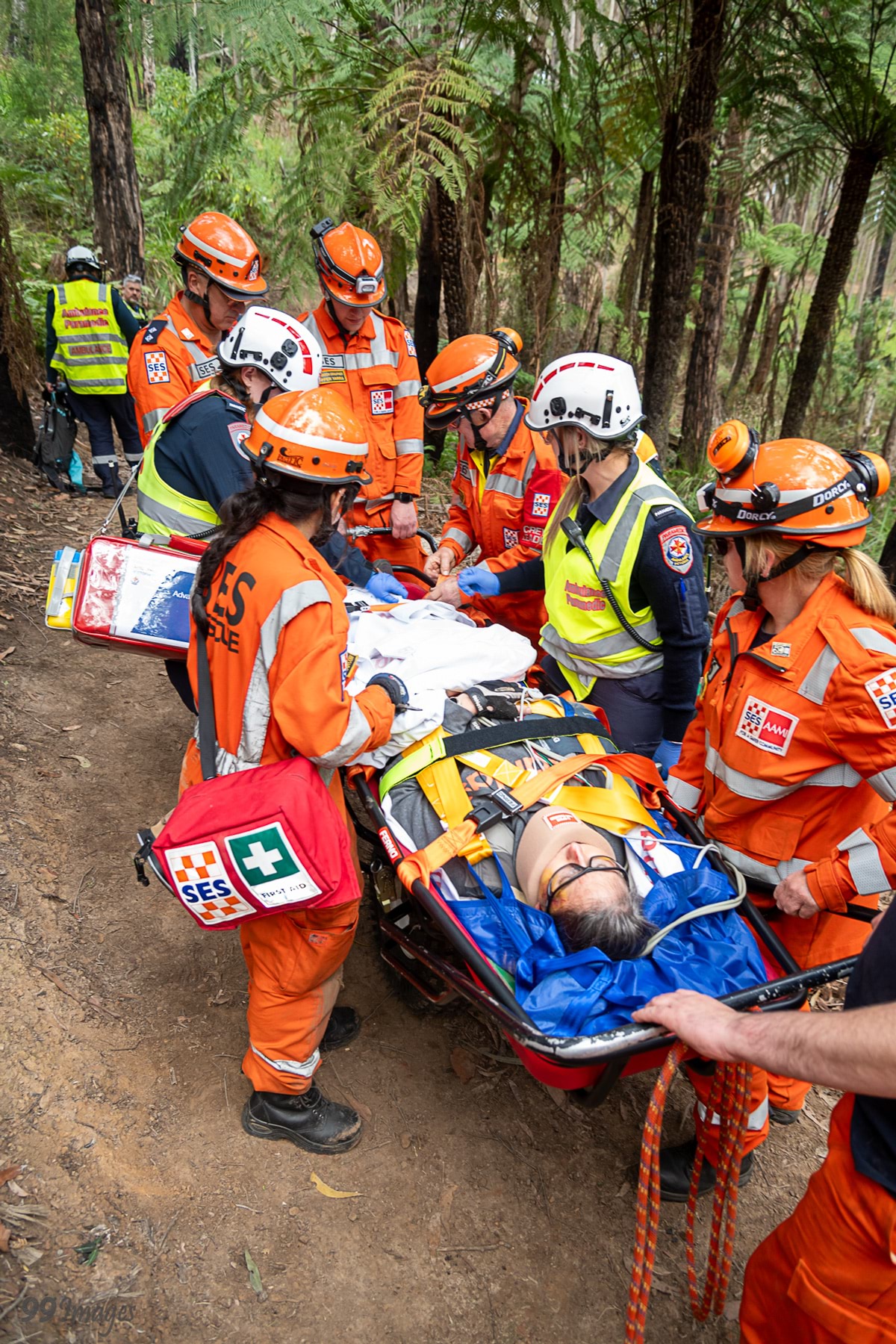 SES workers and paramedics guide a patient in a stretcher along a bush track.