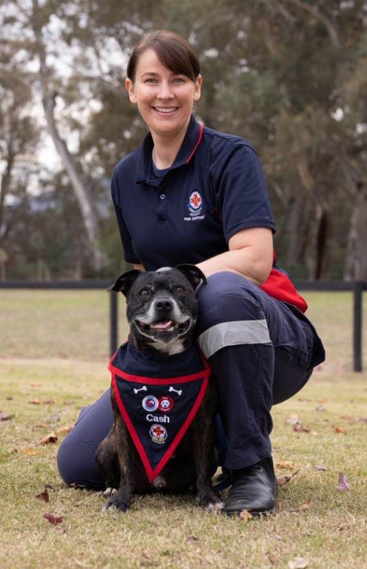 Trio of pawsitively terrific Peer Dogs retire | ambulance.vic.gov.au