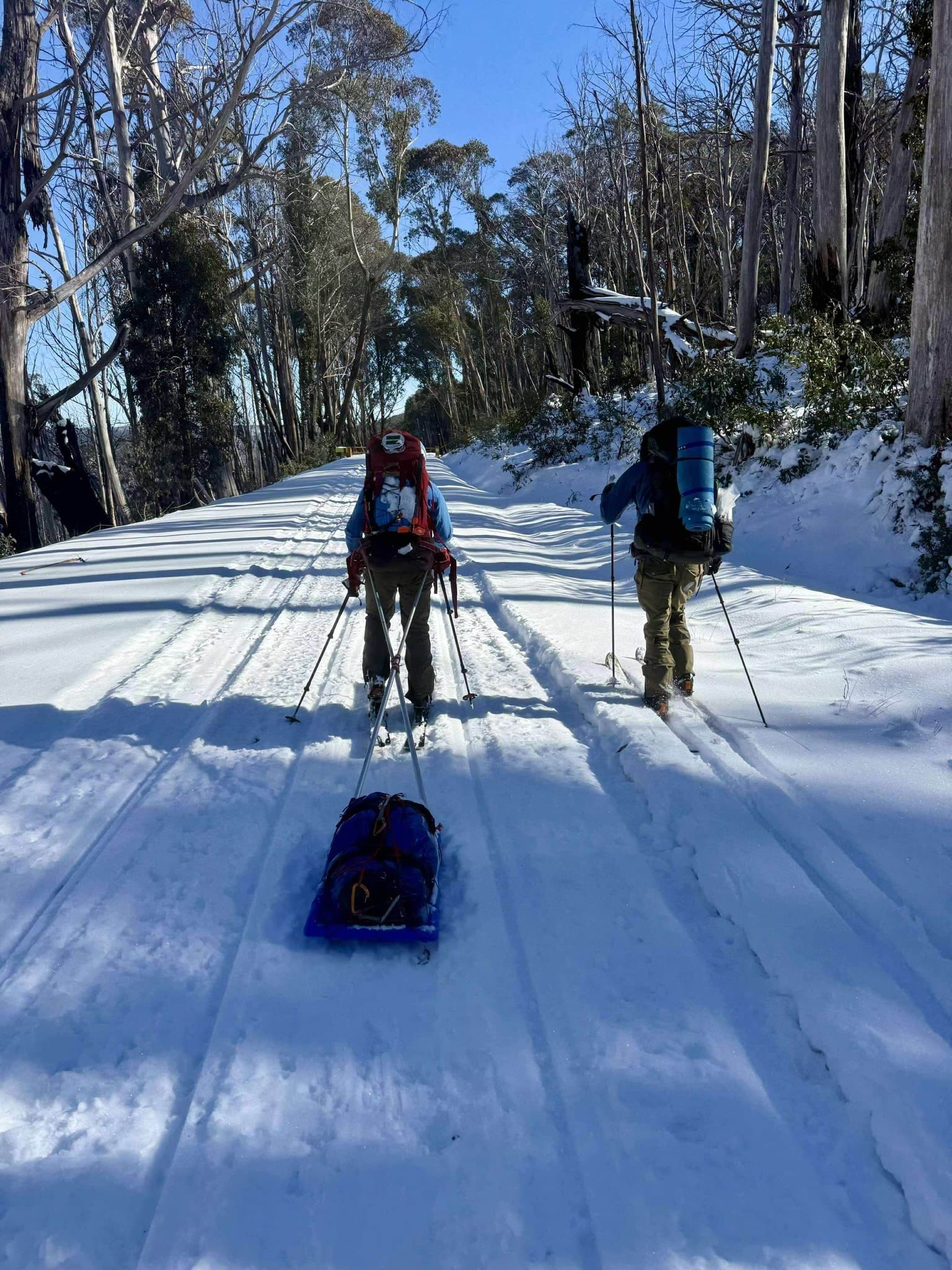 Two people ski up a snowy hill. They have their backs to the camera. One person drags a sled.