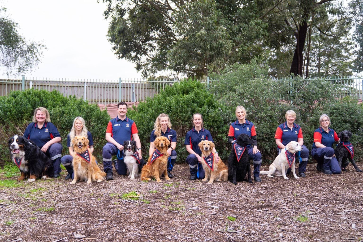 Eight people crouch next to their dogs, who have Ambulance Victoria bandanas around their necks.