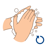Hands rubbing together with a thick lather