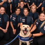 Therapy dog Bruce and graduates