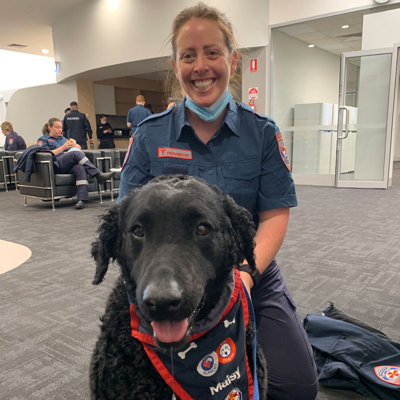 A woman in Ambulance Victoria uniform sits with a black labrador peer dog