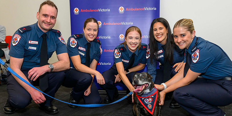 Five paramedic graduates petting Cash, Ambulance Victoria's Peer Support Dog.